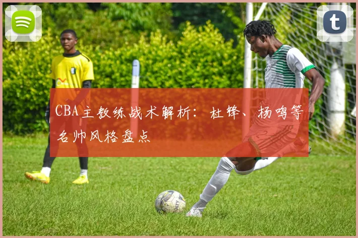 CBA主教练战术解析：杜锋、杨鸣等名帅风格盘点